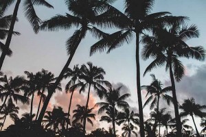 Wellness Origin Summer Package