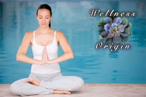 Qigong Carmel Indiana Wellness Origin