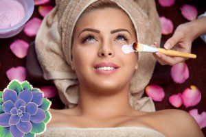 teen Lactic Pro Peel Facial Carmel Indiana