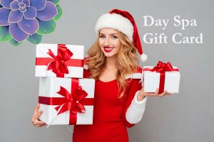 Spa Sale Gift Card Carmel Indiana Indianapolis Area