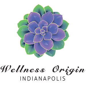 Wellness Origin Indianapolis Spa Logo